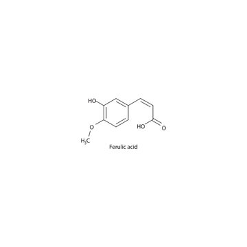 Ferulic acid skeletal structure diagram.hydroxycinnamic acid compound molecule scientific illustration.