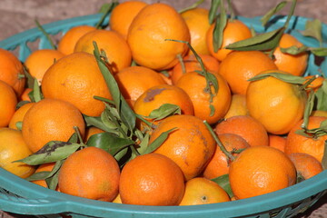 Oranges with Green Leaves