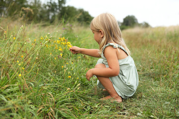 Fototapeta premium Cute little girl picking flowers at meadow. Child enjoying beautiful nature