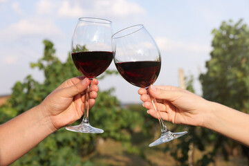 Couple clinking glasses of wine outdoors, closeup