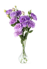Vase with beautiful violet eustoma flowers isolated on white
