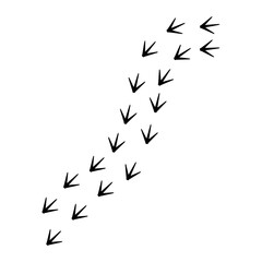 Chicken Footprints