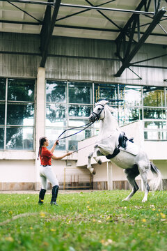 Side view of Caucasian female professional with horsewhip training obedient stallion champion to making tricks, young jockey rider 20s practicing dressage skills with thoroughbred mare animal