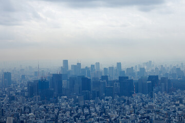 Skyscrapers of the metropolis on the horizon, twilight time
