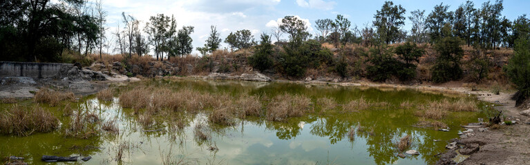 presa bosque del centinela, patos, acu&aacute;tico, r&iacute;o, naturaleza, lago, paisaje, &aacute;rbol, animal, &aacute;rbol, arroyo, ave, cielo, verde