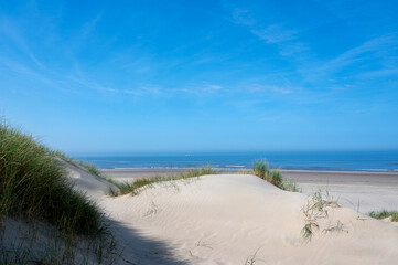 Dunes with beach grass and the sea