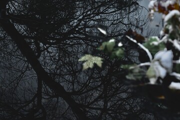 Lonely leaf in the dark river, autumn mood, sad atmosphere of loneliness, surreal colours	