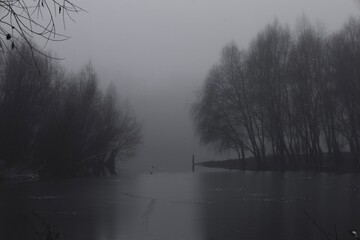 Fantastic fog, Surreal foggy morning in the woods, dark spooky nature, gloomy river, winter landscape 