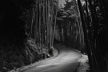 bamboo forests in Japan
