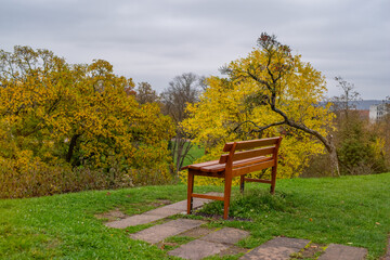Fototapeta premium Peaceful wooden bench set against the vibrant backdrop of autumn foliage. In the background, trees display rich shades of yellow, gold, and green. Höhenpark Killesberg, Stuttgart, Germany.