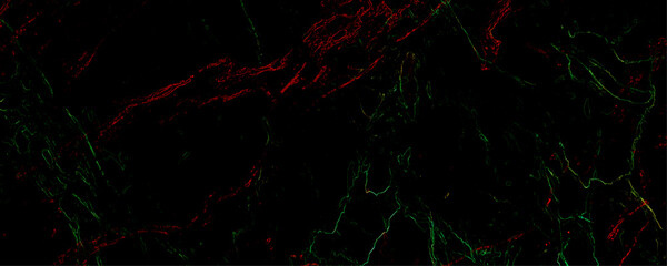 Beautiful abstract dark red marble on black background. Dark red and green marble texture background with high resolution in seamless design. arble texture background for interior design tile surface