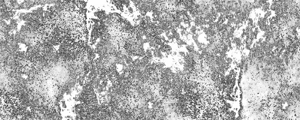 Grey concrete wall white background of scratch grunge abstract background, distressed overlay texture design element. Gray distressed grunge background wallpaper rough concrete wall design art.