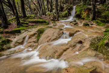 Torrent de Coanegra- Es Freu, Orient, Bunyola, Mallorca, Balearic Islands, Spain