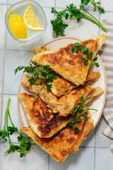 Chebureki from lavash on white plate.style hugge. top veiw