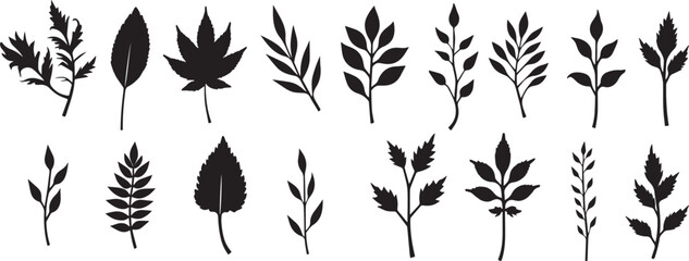 Minimal feminine botanical floral branch in silhouette style Hand drawn wedding herb, minimalistic flowers with elegant leaves.isolated on white background. 