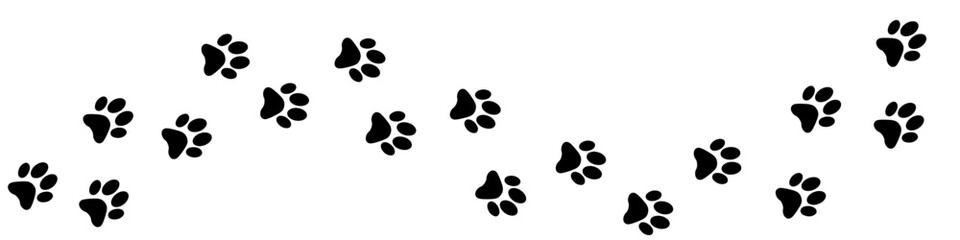Foot trail print of Dog. Dog walk foot print. Black cat Paw Prints. Black Paw print foot trail of animal on transparent background. Paw print of Cat isolated on transparent background © Leandro Bonizio Lima