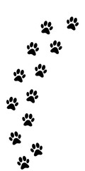 Fototapeta premium Foot trail print of Dog. Dog walk foot print. Black cat Paw Prints. Black Paw print foot trail of animal on transparent background. Paw print of Cat isolated on transparent background