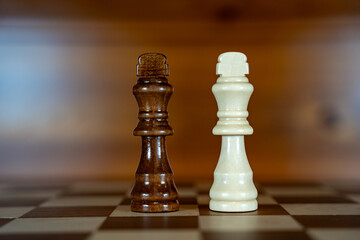 Kings on the board of the chess game.