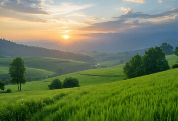 Obraz premium landscape with grass and mountains
