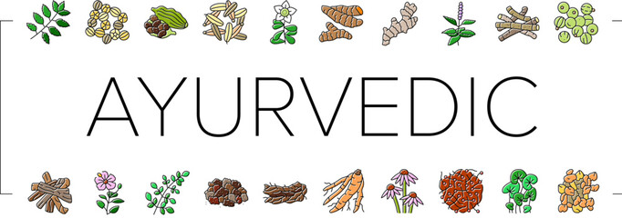 ayurvedic herbs medicine health icons set vector. nature ayurveda, mortar neem, basil, science plant, leaf, organic spices, care, cure ayurvedic herbs medicine health color line illustrations © vectorwin