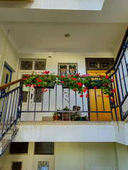 interior of an apartment house with flowerpots