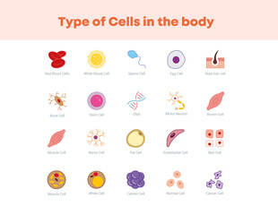 Type of cells in the body icons coloured
