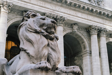The Majestic Lion Sculpture Gracing the Entrance of Historic Library Building