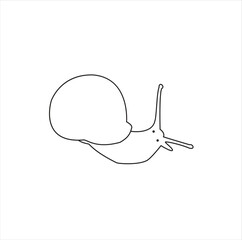New style snail vectoer illustration 