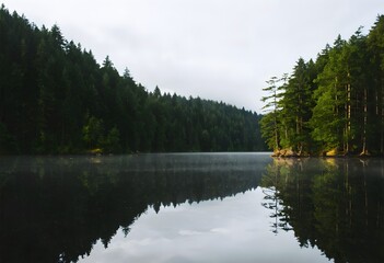Fototapeta premium reflection in the lake