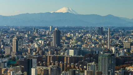 Tokyo Japan cityscape with Fuji in the background