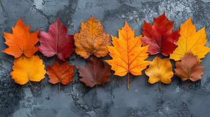 Autumn leaves and berries arranged in a beautiful pattern on a dark background, showcasing the vibrant colors of fall