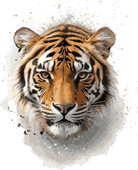 Fototapeta premium A majestic white Bengal tiger, a rare and wild feline, stares intently with piercing eyes, Watercolor