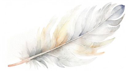 Obraz premium Białe ptasie pióro gęsi ilustracja