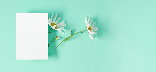 White paper empty blank and white chamomile flowers on mint background. Invitation card mockup on light green table. Flat lay, top view, copy space, mockup