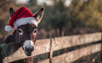 Selbstklebende Fototapeten Brown donkey wearing a Santa Claus hat in a rural farm setting with room for text.  © K KStock