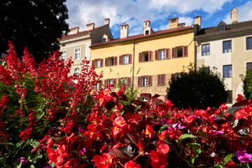 Beautiful European Flowerbed. A beautiful, lush flower bed in front of a traditional building in Europe.

