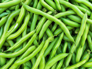Fresh green beans ready for harvest at a local market in the afternoon sunlight