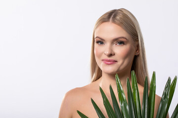 Fototapeta premium Embracing Natural Beauty with the Exceptional Aloe Vera Plant for a Calm Lifestyle