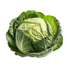 Obraz premium Fresh Head of Cabbage Ready for Culinary Delights