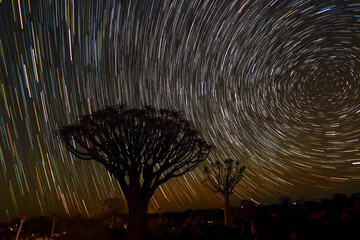 Colorful star trails over the quiver trees in Quivertree Forest, Keetmanshoop,  Namibia.