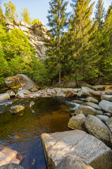 Serene Flowing Stream in Lush Forest Landscape