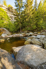Serene Flowing Stream in Lush Forest Landscape