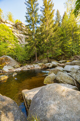 Serene Flowing Stream in Lush Forest Landscape