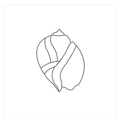 New style Oyster Design Vector 