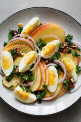 Fresh salad with apples, sorrel, red onion, boiled eggs and walnuts on a gray plate on a concrete background. Seasonal recipe of healthy salad