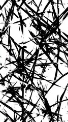 Fototapeta premium Abstract Black and White Graphic Design