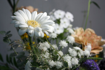 flowers in the forest