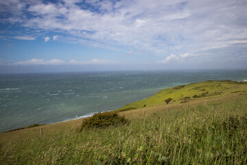 grass dancing in the wind, Blanc-Nez, beach of the Calais coast