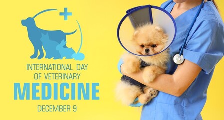 Doctor with cute dog on yellow background. Banner for International Day of Veterinary Medicine