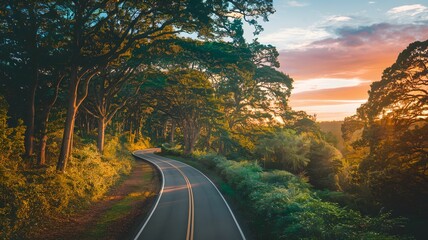 Horizontal top view image of a road in the forest at sunset. For LinkedIn, profile in social media, blog, summer vacation, road trip, banner, design